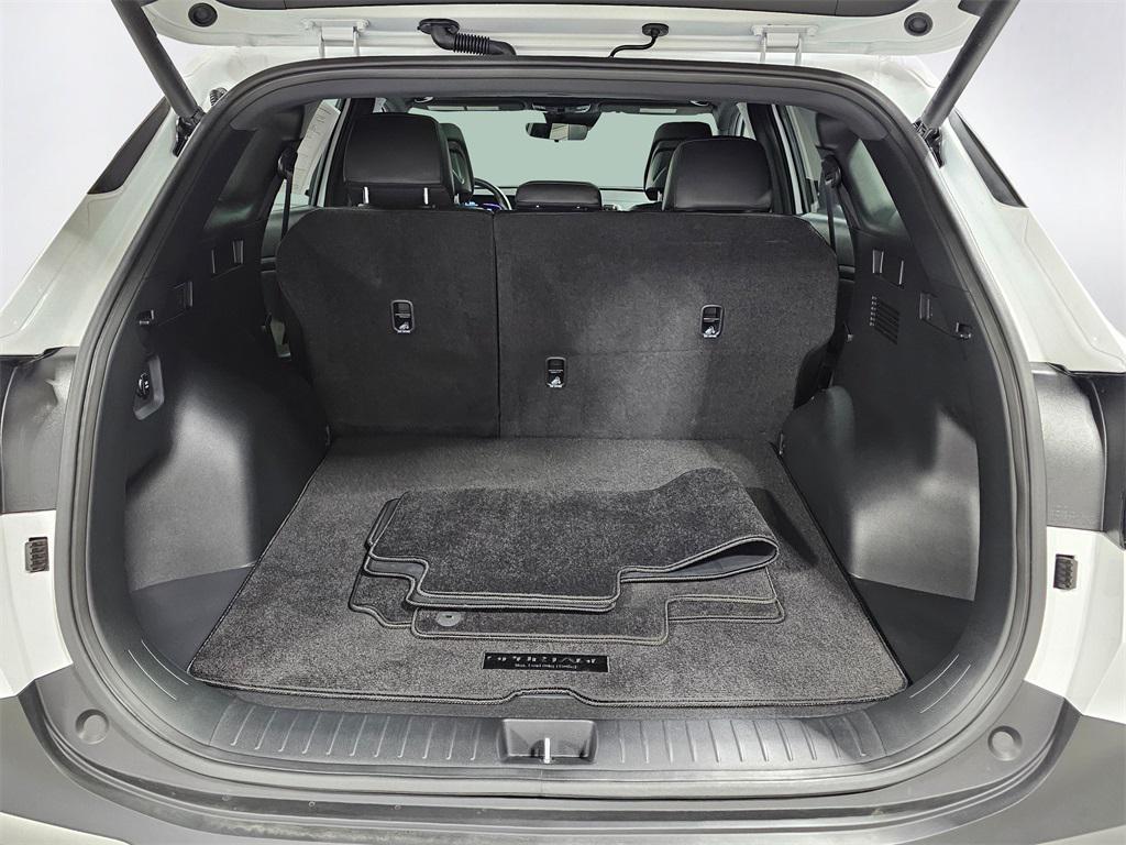 used 2024 Kia Sportage car
