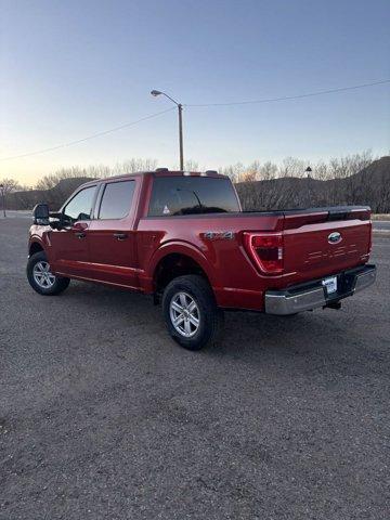 new 2023 Ford F-150 car, priced at $61,390