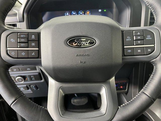 new 2024 Ford F-150 car