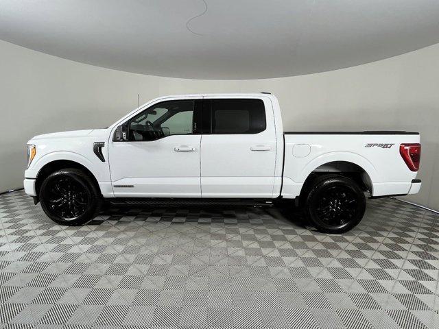 used 2023 Ford F-150 car, priced at $41,833