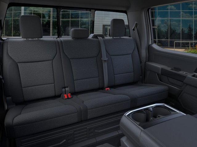 new 2024 Ford F-150 car