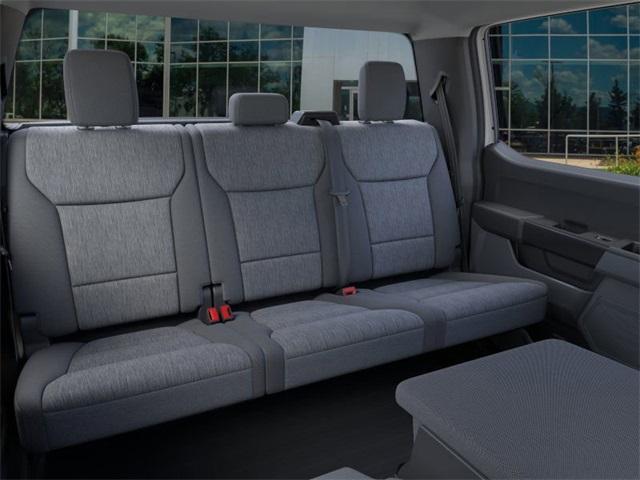 new 2024 Ford F-150 car