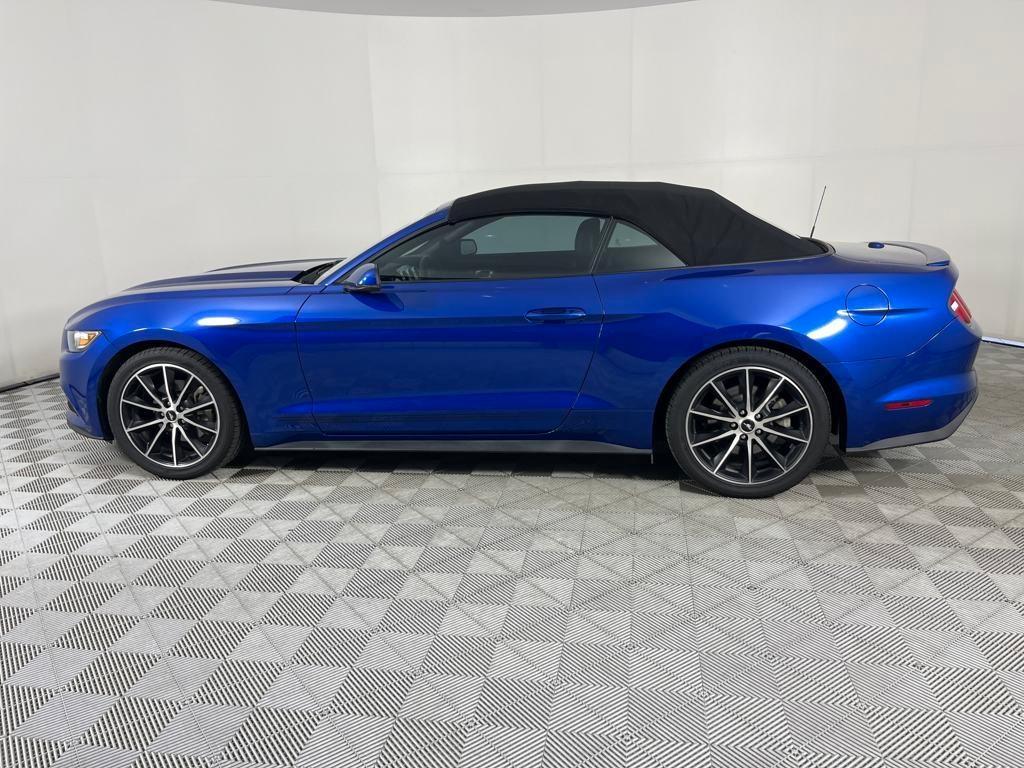 used 2017 Ford Mustang car
