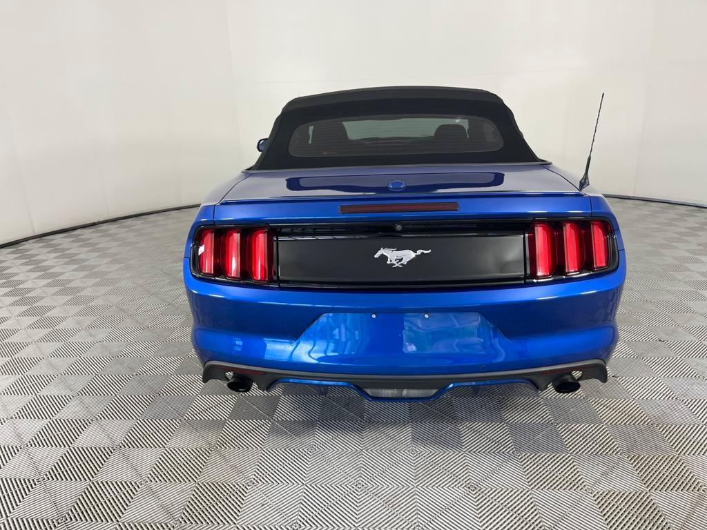 used 2017 Ford Mustang car