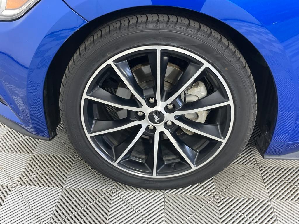 used 2017 Ford Mustang car