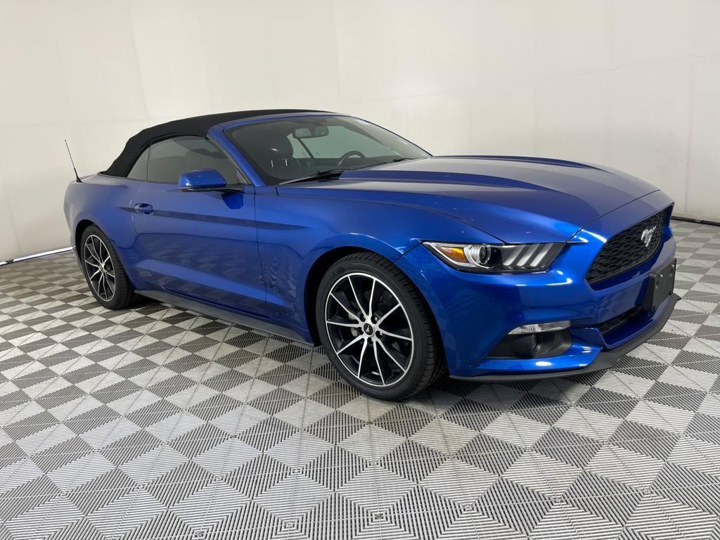 used 2017 Ford Mustang car