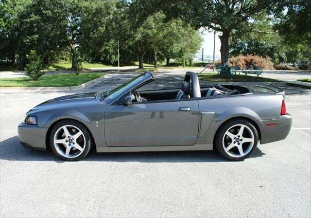 used 2003 Ford Mustang car, priced at $49,000