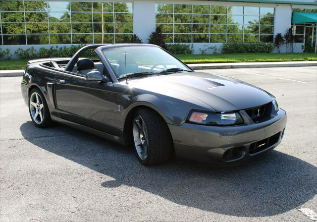 used 2003 Ford Mustang car, priced at $49,000