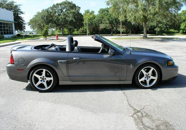 used 2003 Ford Mustang car, priced at $49,000