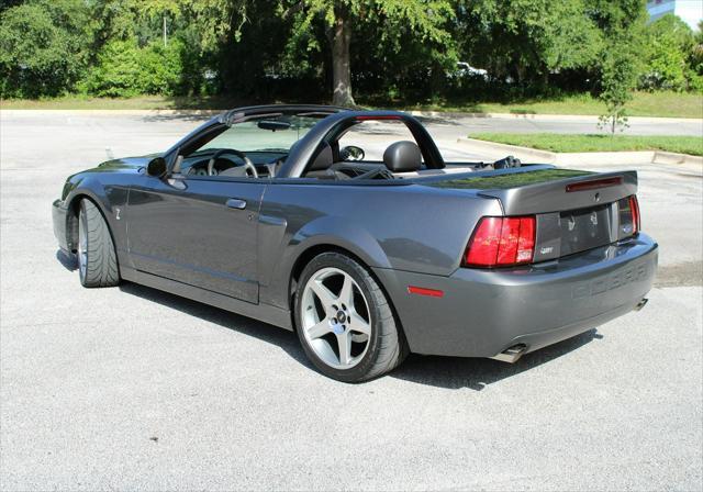 used 2003 Ford Mustang car, priced at $49,000