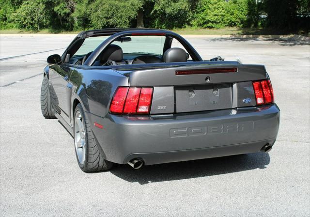 used 2003 Ford Mustang car, priced at $49,000