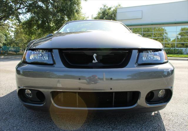 used 2003 Ford Mustang car, priced at $49,000