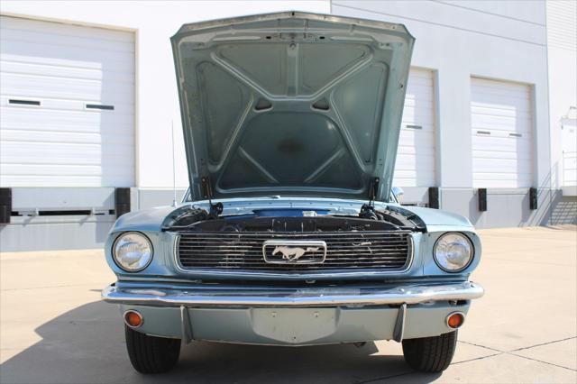 used 1966 Ford Mustang car, priced at $24,000