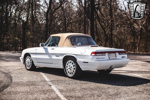 used 1991 Alfa Romeo Spider car, priced at $27,000