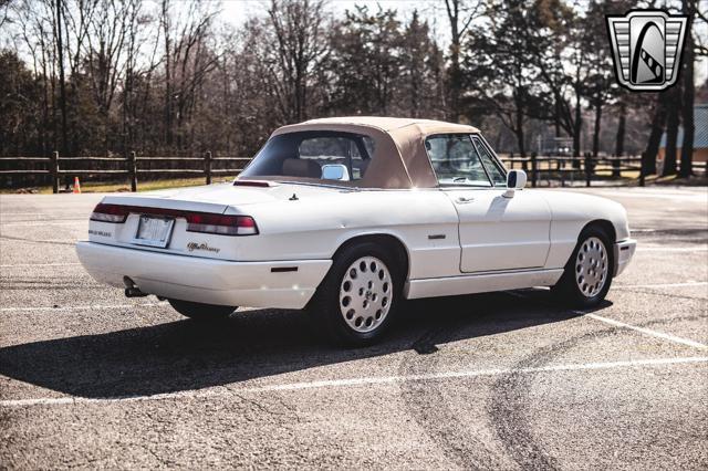 used 1991 Alfa Romeo Spider car, priced at $27,000