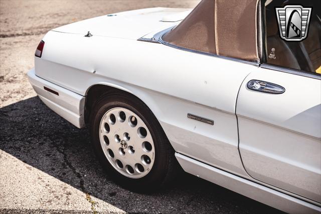 used 1991 Alfa Romeo Spider car, priced at $27,000