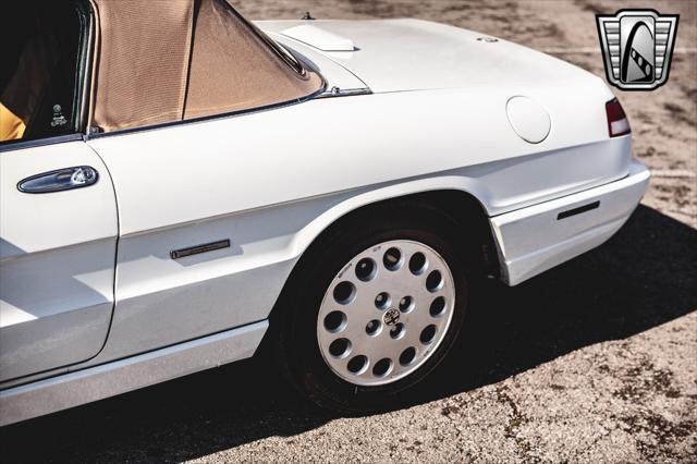 used 1991 Alfa Romeo Spider car, priced at $27,000