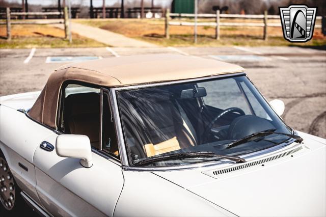 used 1991 Alfa Romeo Spider car, priced at $27,000