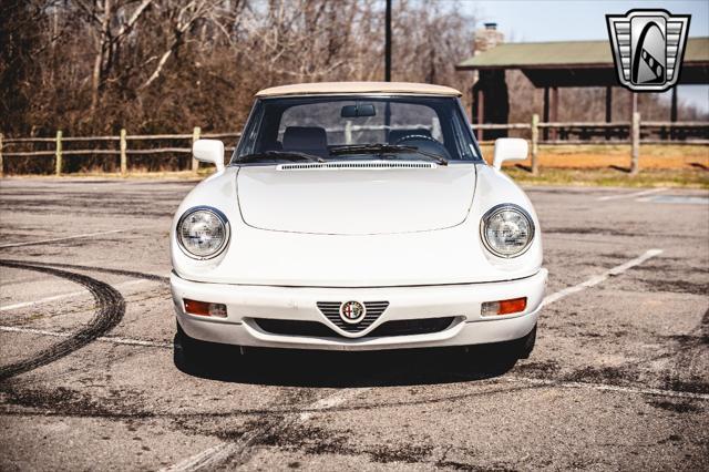 used 1991 Alfa Romeo Spider car, priced at $27,000