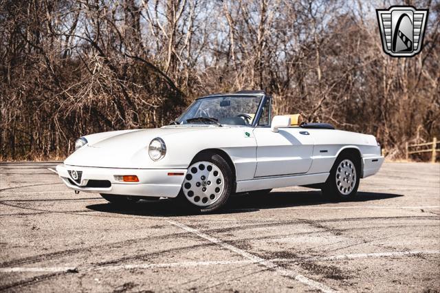 used 1991 Alfa Romeo Spider car, priced at $27,000