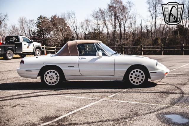 used 1991 Alfa Romeo Spider car, priced at $27,000