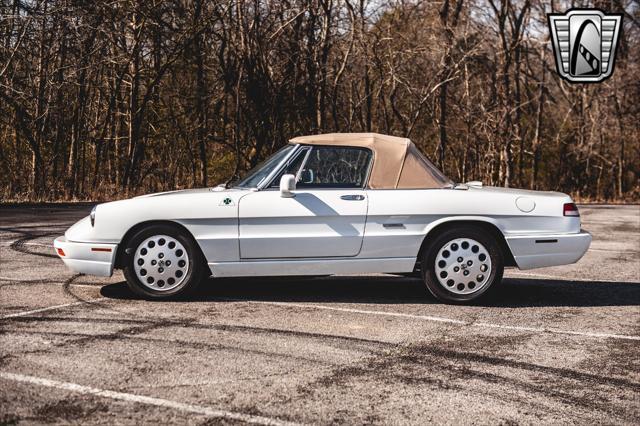 used 1991 Alfa Romeo Spider car, priced at $27,000