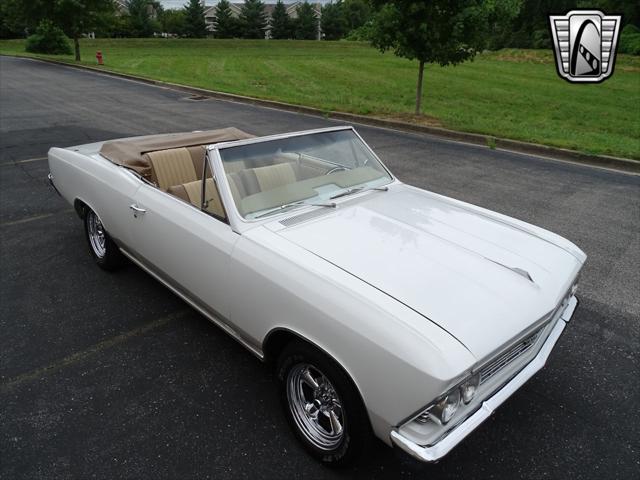 used 1966 Chevrolet Chevelle car, priced at $59,000