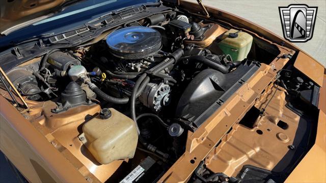 used 1982 Pontiac Firebird car, priced at $22,000