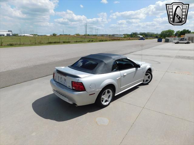 used 1999 Ford Mustang car, priced at $11,000