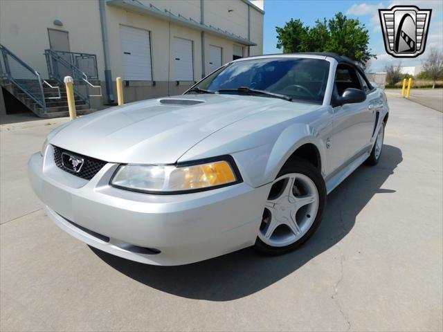 used 1999 Ford Mustang car, priced at $11,000