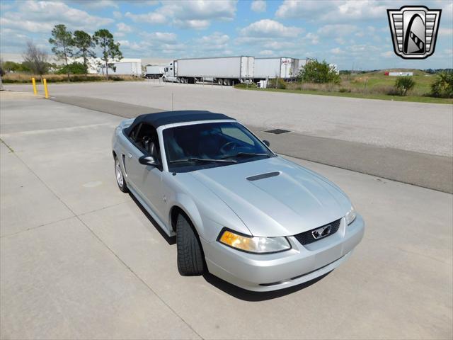 used 1999 Ford Mustang car, priced at $11,000