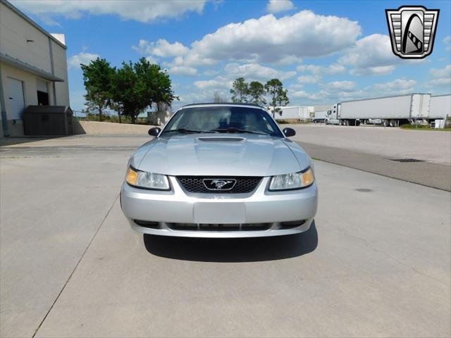 used 1999 Ford Mustang car, priced at $11,000