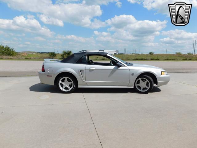 used 1999 Ford Mustang car, priced at $11,000