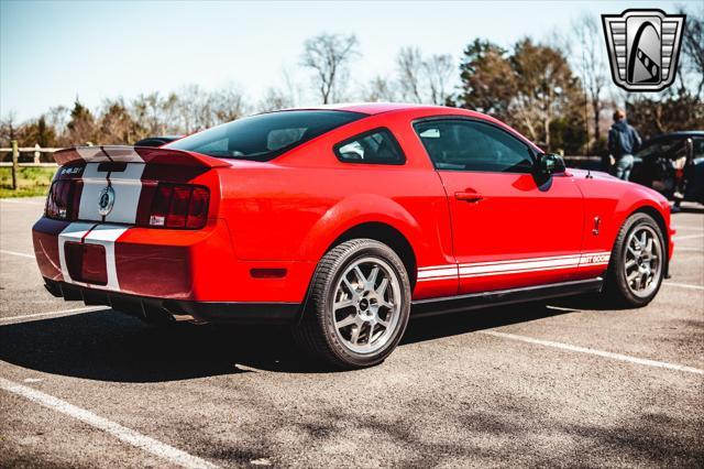 used 2008 Ford Shelby GT500 car, priced at $50,000