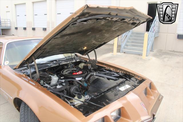 used 1979 Pontiac Firebird car, priced at $36,000