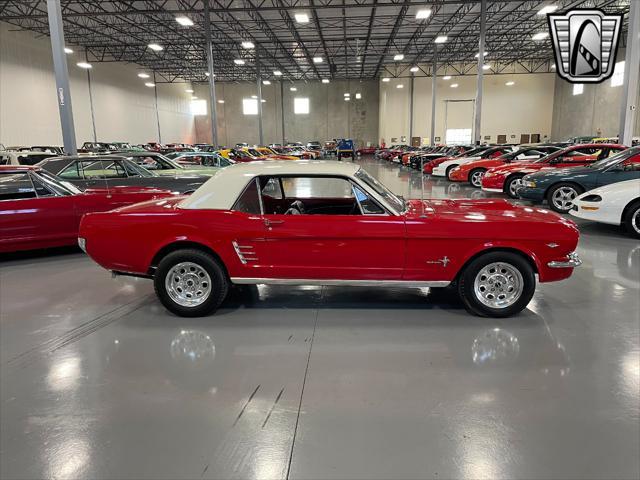 used 1966 Ford Mustang car, priced at $31,000