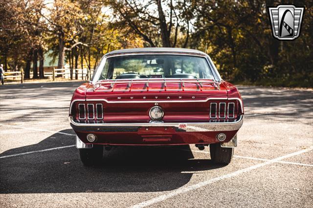 used 1967 Ford Mustang car, priced at $38,000