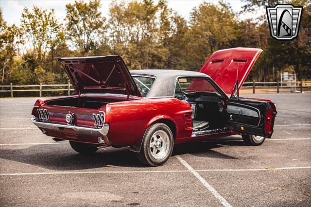 used 1967 Ford Mustang car, priced at $38,000