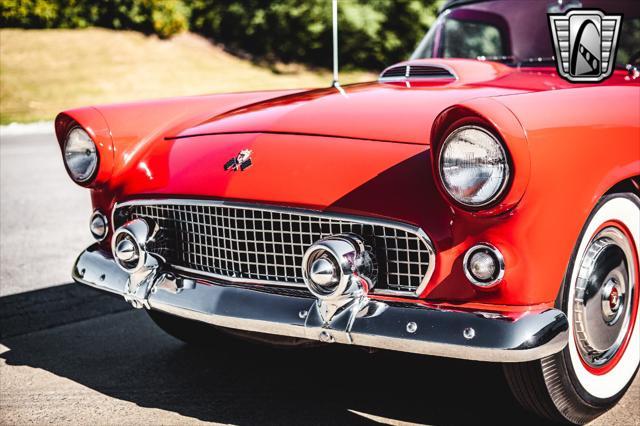 used 1955 Ford Thunderbird car, priced at $48,000