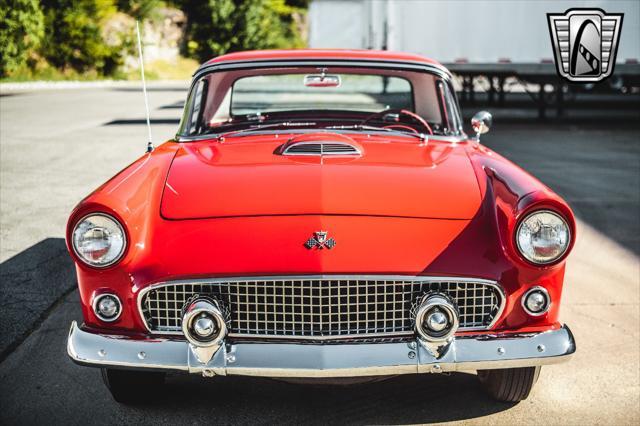 used 1955 Ford Thunderbird car, priced at $48,000