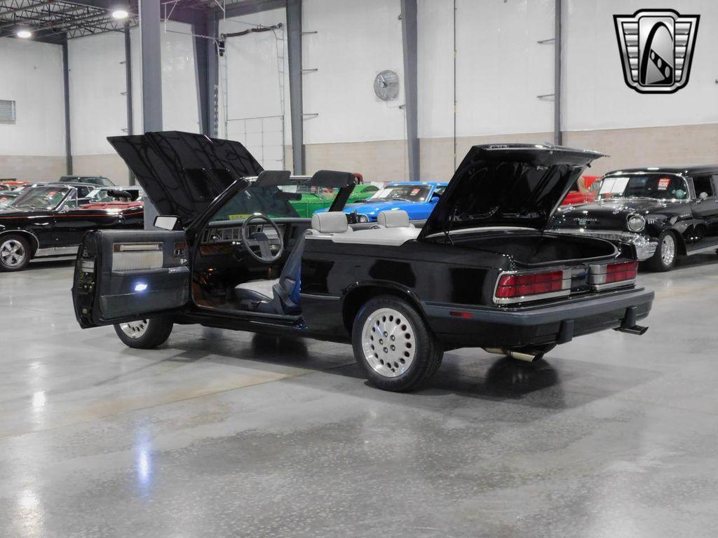 used 1986 Dodge 600 car, priced at $18,000