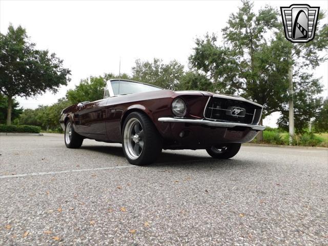 used 1967 Ford Mustang car, priced at $79,000