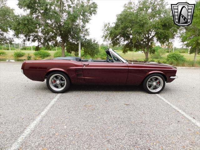 used 1967 Ford Mustang car, priced at $79,000