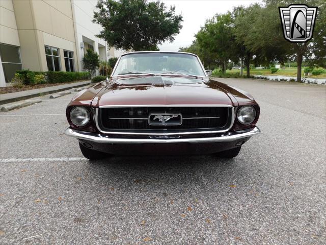 used 1967 Ford Mustang car, priced at $79,000