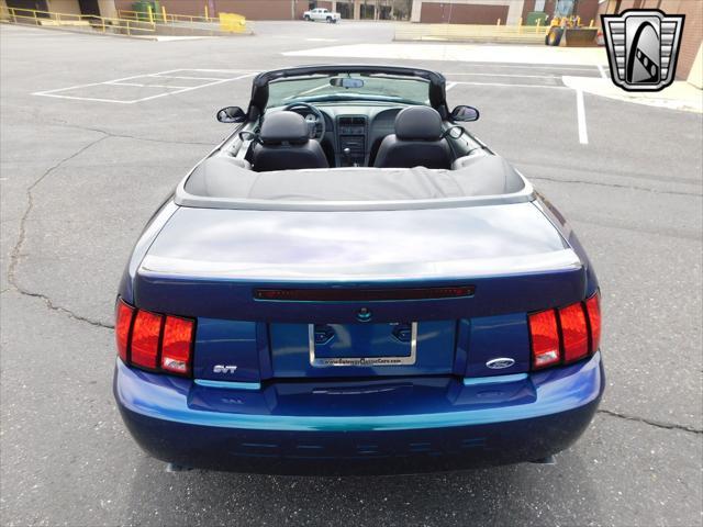 used 2004 Ford Mustang car, priced at $75,000