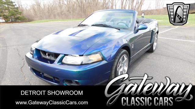 used 2004 Ford Mustang car, priced at $75,000