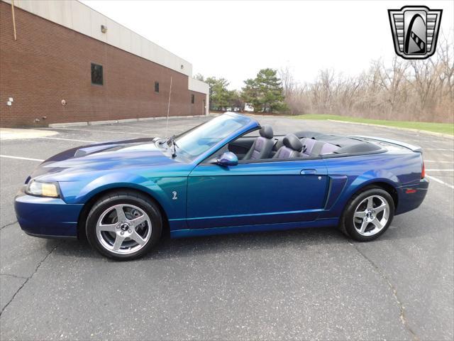 used 2004 Ford Mustang car, priced at $75,000