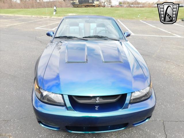 used 2004 Ford Mustang car, priced at $75,000