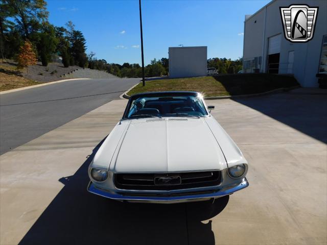 used 1967 Ford Mustang car, priced at $34,000