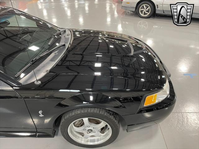 used 1999 Ford Mustang car, priced at $31,000